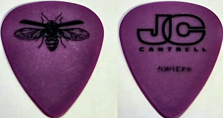 alice in chains Jerry Cantrell pick ピック